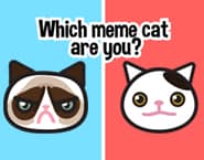 Which meme cat are you