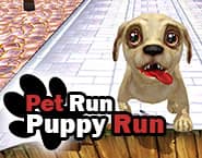 Pet Run Puppy Run