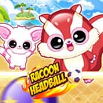 Racoon Headball