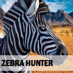 Zebra Hunter