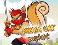 Cat Ninja